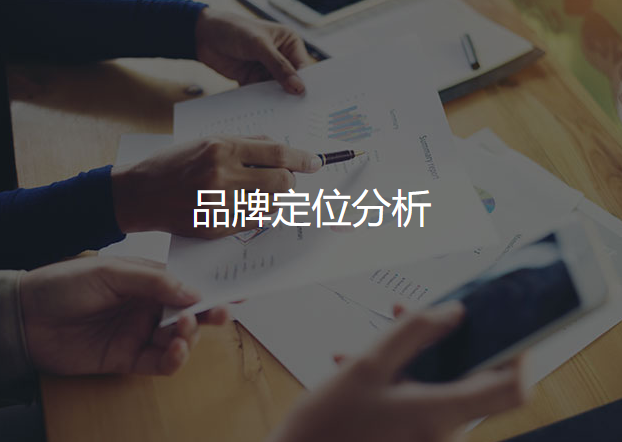 品牌定位分析